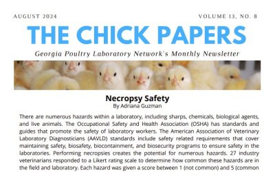 The Chick Papers