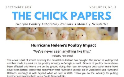 The Chick Papers