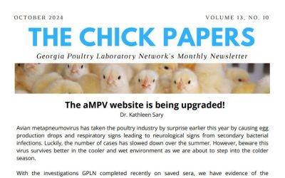 The Chick Papers