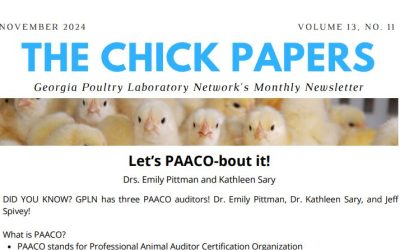 The Chick Papers